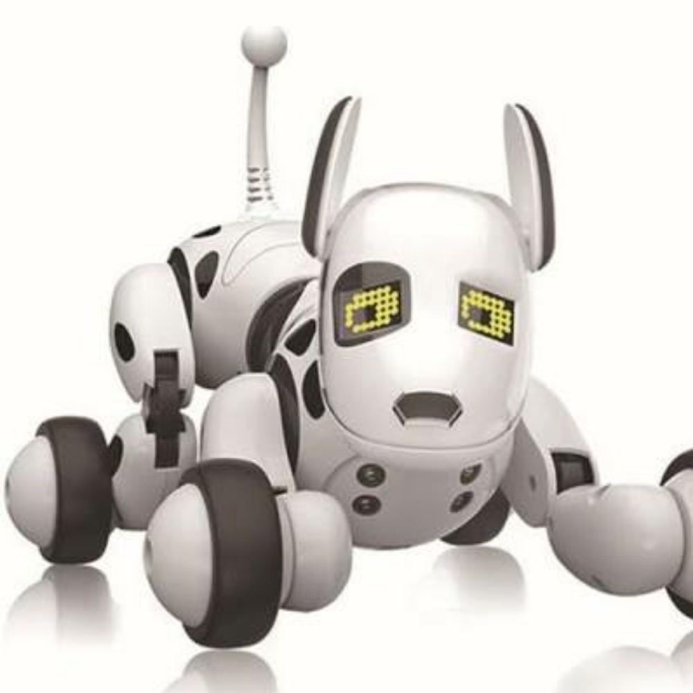 Robot Dog